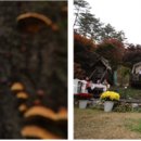 은비령산장 이미지