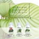 수원시민햇빛발전1호기 | 동탄 반려식물병원 실내화분, 화초가 아플때 진단과 맞춤형 식물 영양제 무료 제공!