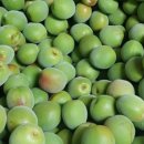 다복농장 이미지