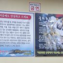 24시통영굴국밥전문점 이미지