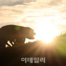 돈다산농장 이미지