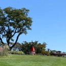 유자랜드펜션 이미지