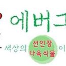 에버그린농장 이미지