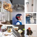 블링이네 건강마켓 이미지