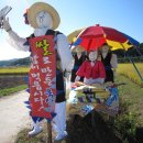 영4리 해수욕장 이미지