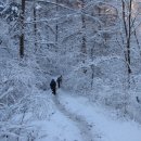 아랫도리 이미지