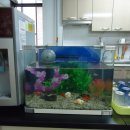 간석지역아동센터 이미지