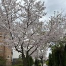 산운로160번길 이미지