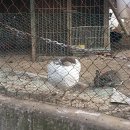 강가의 작은도시 이미지