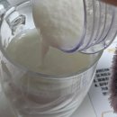 빈벨트 | 커피벨트 요거트파우더 바닐라빈파우더 홈카페 요거트스무디 바닐라라떼 푸딩 해먹음