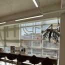 낙원미용실 | 굳뜨헤어 영남대점 CS컬펌 잘하는 경산 영남대미용실 솔직후기