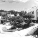 초도초등학교 이미지