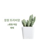 대운부동산중개사무소 이미지