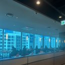 랍스터바 | 현대백화점 미아점 VIPS 빕스 주말 런치 샐러드바 이용 & 스테이크 랍스터 후기