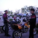 아렉스(RX) 이미지