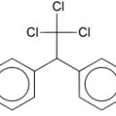 Re:Re:Xenoestrogens(Endocrine-disrupting Chemical)에 대하여 이미지