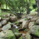 다슬기 반딧불이 이미지