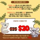 로시드 | 줌줌투어 시드니블루마운틴 선셋투어 페더데일 동물원 로라마을 로시드면세점 비오는날 후기