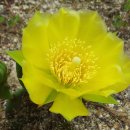 소희꽃농원 이미지