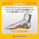 춘천우리한의원 네이버블로그