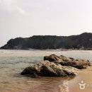설악해변 Daum카페