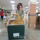 금산인삼사업 이미지