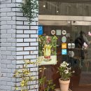 백곰 짐 | 부산 사하구 신평역 근처 카페 추천 사하커피클럽 내돈내산 후기