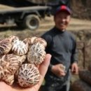 청신농장 이미지