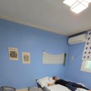 낭만 홍'S 이미지