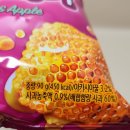 꿀꿀꽈배기 | 50년 넘게 사랑받은 추억의 라떼 K 과자: 농심 꿀꽈배기 내돈내산 후기