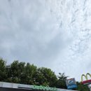 오토오아시스 현대점 이미지