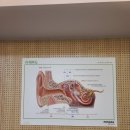 모아보청기 | 서초보청기 전문 <포낙보청기 서초점> 친절한 상담 인상적인 후기