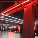 킹스복싱 이미지