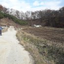 잘생긴부동산중개 이미지