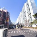 상아(129) 네이버블로그