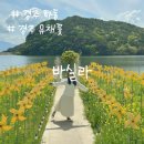 (주)남광하동공장 | 경주 유채꽃 명소 불국사 근처 카페 바실라 주말 뚜벅이 방문 후기