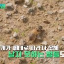 한국양봉농협동물병원