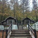 숲속의 정든집 야영장 | 대전 장태산자연휴양림 숲속의 집 숙박 후기 | 가격, 내부시설, 예약 팁까지!