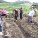 대촌농장 이미지