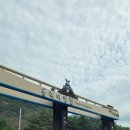 용하공원1 이미지