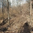 효신빌딩 이미지