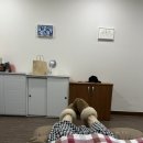 조항일동물병원 | 울산 보람병원 산부인과 40주 초산 제왕절개 수술 7박8일 1인실 입원 후기