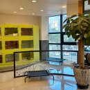 미래지동물의료센터 이미지