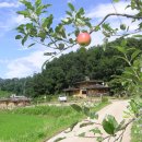 사과밭펜션 이미지