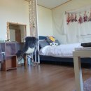 티나펜션 이미지