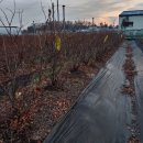 서윤농장 이미지