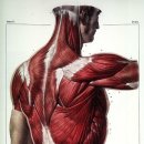 코리아 짐 이미지