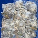 열쭈꾸미 이미지