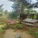 모산봉등산로 이미지