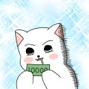 똑똑한 부동산 투자 기본 다지기 | 나의 투자의 기준 - 부동산부터 주식까지